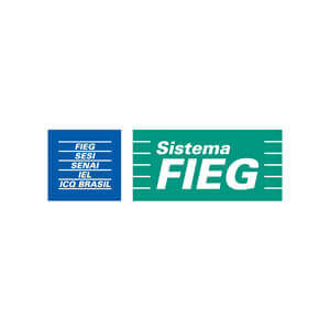 Sistema FIEG